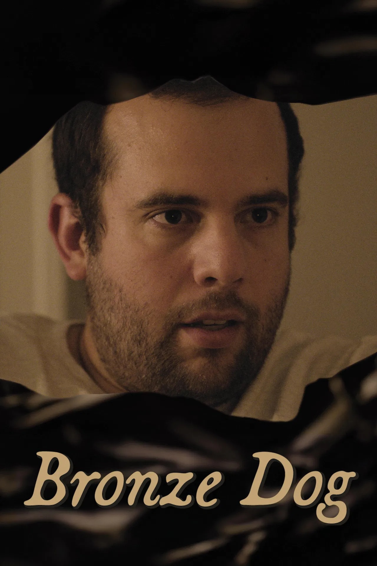 bronzedog1.jpeg